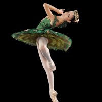 Gallery 1 - Maple Youth Ballet