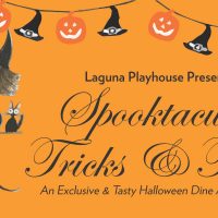 Gallery 2 - Halloween Spooktacular Tricks & Treats - An Exclusive & Tasty Halloween Dine Around Party