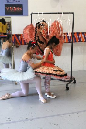 Gallery 5 - Anaheim Ballet School's Hands on Dance