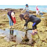 Gallery 1 - Learn to Watercolor on the Beach, Tour Tidepools