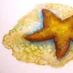 Gallery 3 - Learn to Watercolor on the Beach, Tour Tidepools