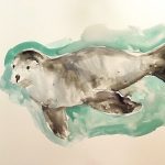Gallery 3 - View Live Sea Lions - Learn to Paint - Laguna Beach