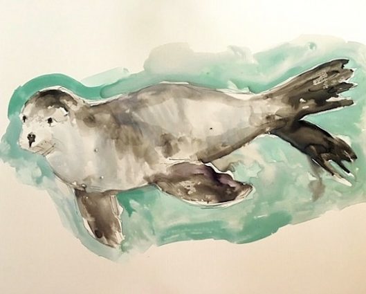 Gallery 3 - View Live Sea Lions - Learn to Paint - Laguna Beach