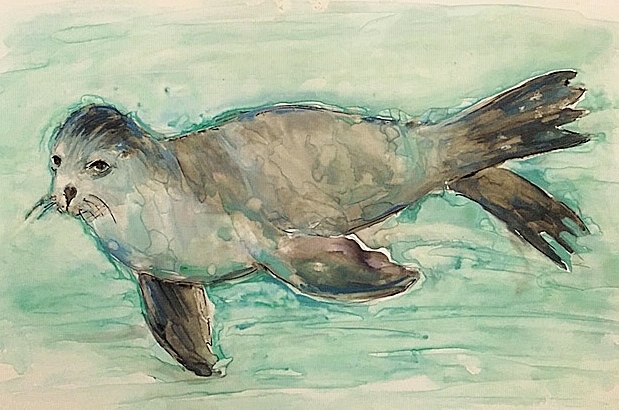 Gallery 4 - View Live Sea Lions - Learn to Paint - Laguna Beach
