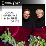 Gallery 1 - 2020 National Geographic Live Series - David Doubilet & Jennifer Hayes: Coral Kingdoms and Empires of Ice