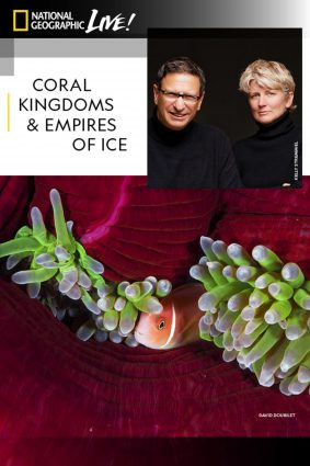 Gallery 1 - 2020 National Geographic Live Series - David Doubilet & Jennifer Hayes: Coral Kingdoms and Empires of Ice