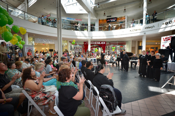 Gallery 2 - 44th Annual VSA Festival @ Main Place Mall - NOW VIRTUAL