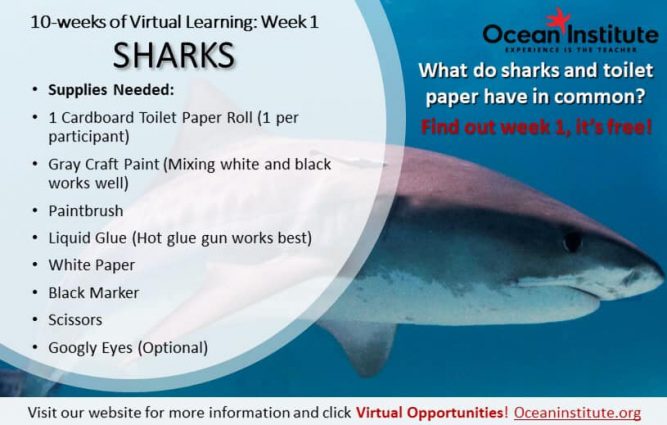 Gallery 1 - Virtual Ocean Learning with Ocean Institute