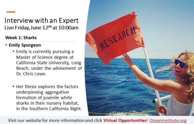 Gallery 2 - Virtual Ocean Learning with Ocean Institute