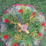 Gallery 3 - Create Plant Mandalas at Sherman Gardens