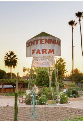 Centennial Farm + the OC Fair