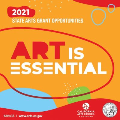 Statewide and Regional Networks Grants