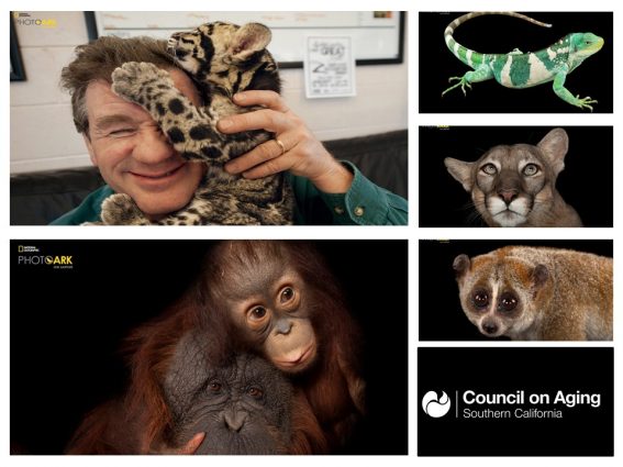 Gallery 1 - An Evening with Joel Sartore, National Geographic Photographer