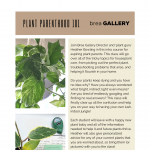 Gallery 1 - Plant Parenthood 101