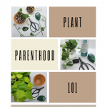 Gallery 2 - Plant Parenthood 101