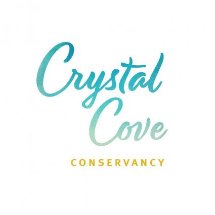 Gallery 1 - Crystal Cove:  Plein Air Painting