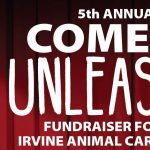 Fundraiser:  Comedy Unleashed
