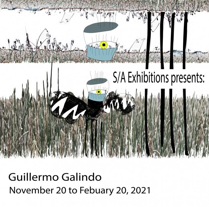 Guillermo Galindo:  Native | Non Native | Supernat...