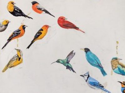 Fullerton Arboretum:  Birds in Art