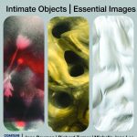 Intimate Objects | Essential Images