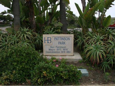 Pattinson Park