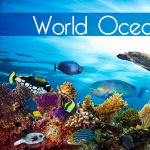 World Oceans Week