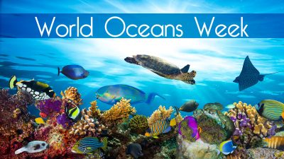 World Oceans Week