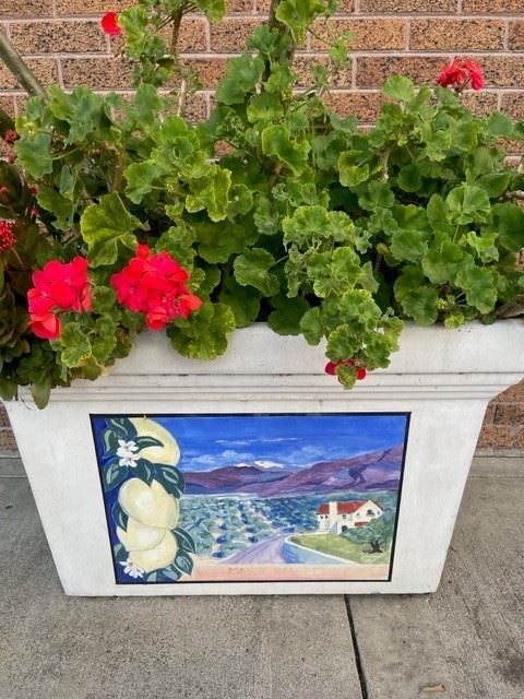 Gallery 1 - Planter Box Art Series Kay Dygert