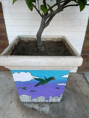 Planter Box Art Series Kurt Brizzolara