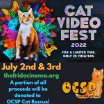 Frida Cinema:  Cat Video Fest