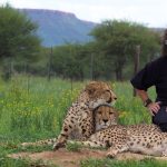 Keeping the Wild, Wild with Dr. Laurie Marker