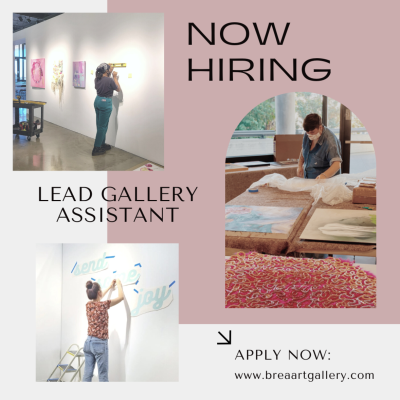 Lead Gallery Assistant