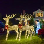 Gallery 1 - Holiday Lights at Heritage Hill