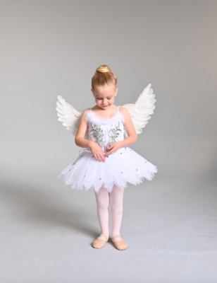 Pryntsev Ballet Academy - PreBallet for ages 3-6