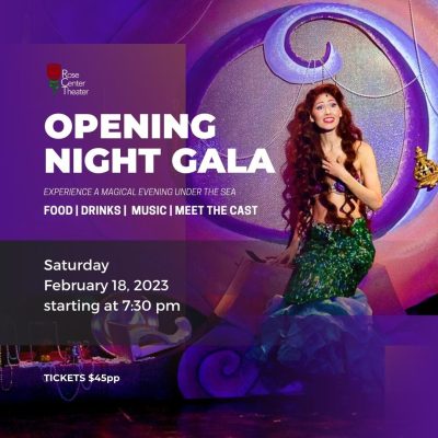Opening Night Gala of The Little Mermaid