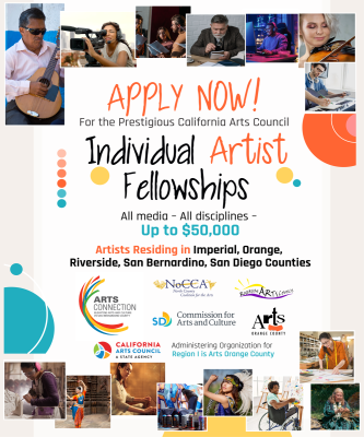 Individual Artist Fellowship