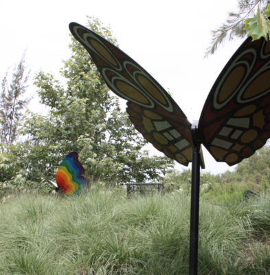 Butterfly Project - Library Butterflies