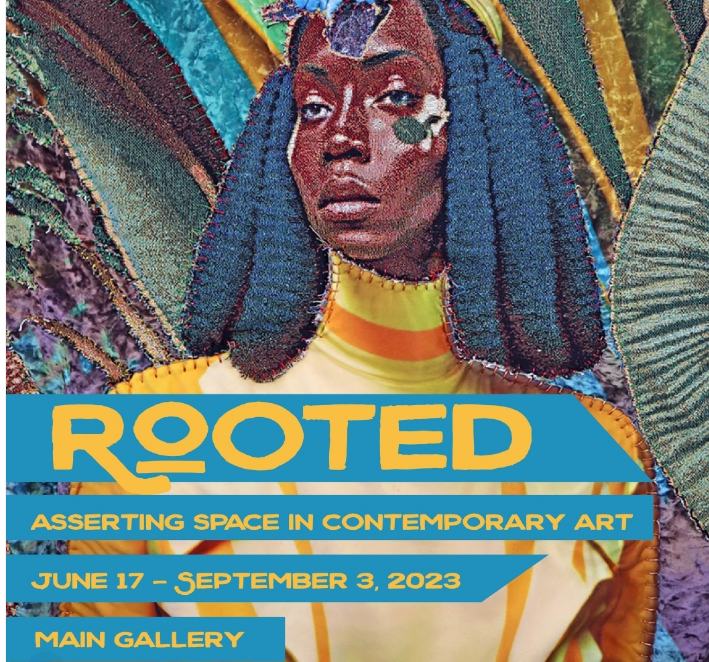 Gallery 1 - Rooted