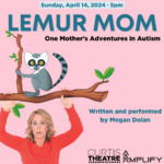 Lemur Mom: One Mother's Adventure in Autism