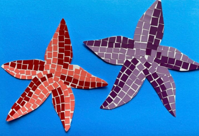 Crystal Cove:  Create Paper Sea Star Mosaics