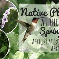 Free Seminars at the South Coast Plaza Spring Garden Show